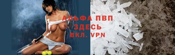 метадон Алексин