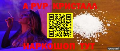 стаф Новозыбков