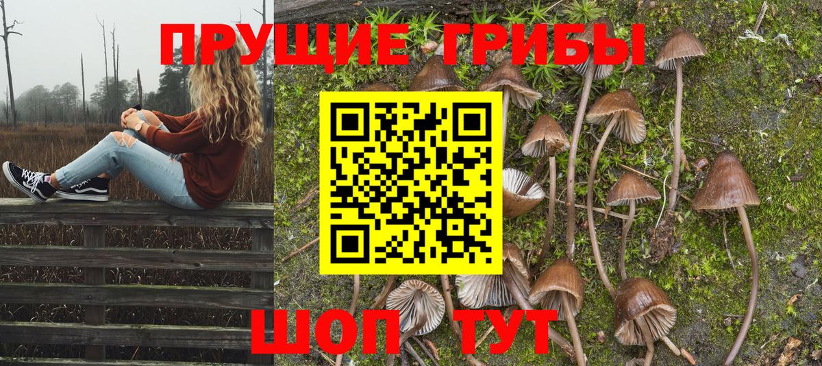 Бирск  Галлюциногенные грибы Magic Shrooms  Галлюциногенные грибы Psilocybine cubensis  Вход с VPN 