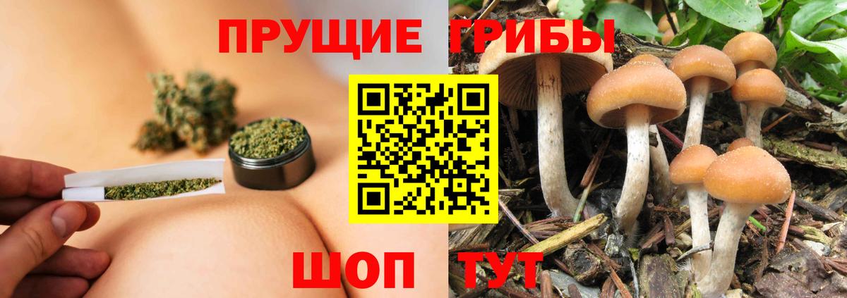 Галлюциногенные грибы мухоморы Бирск